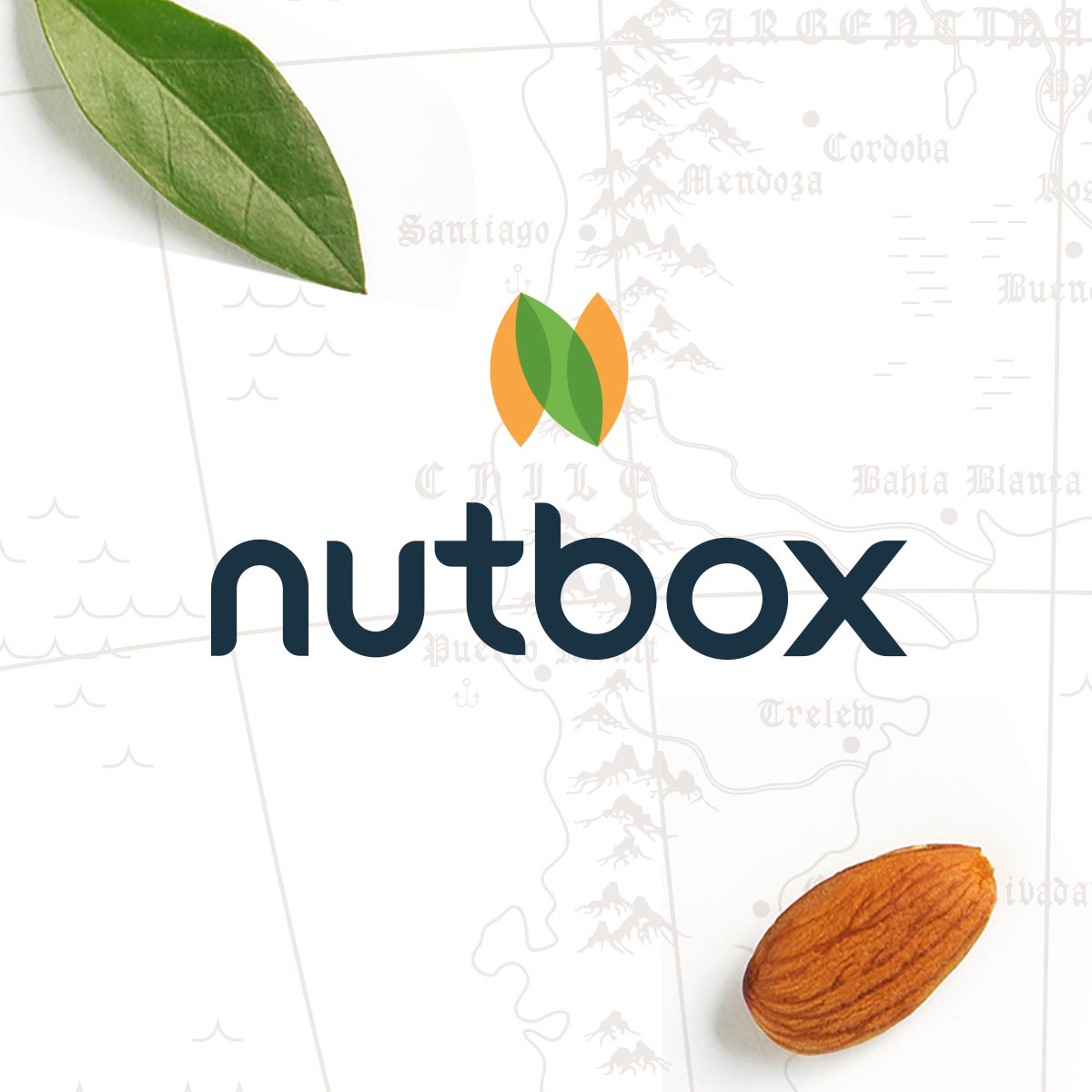 Nutbox logo.