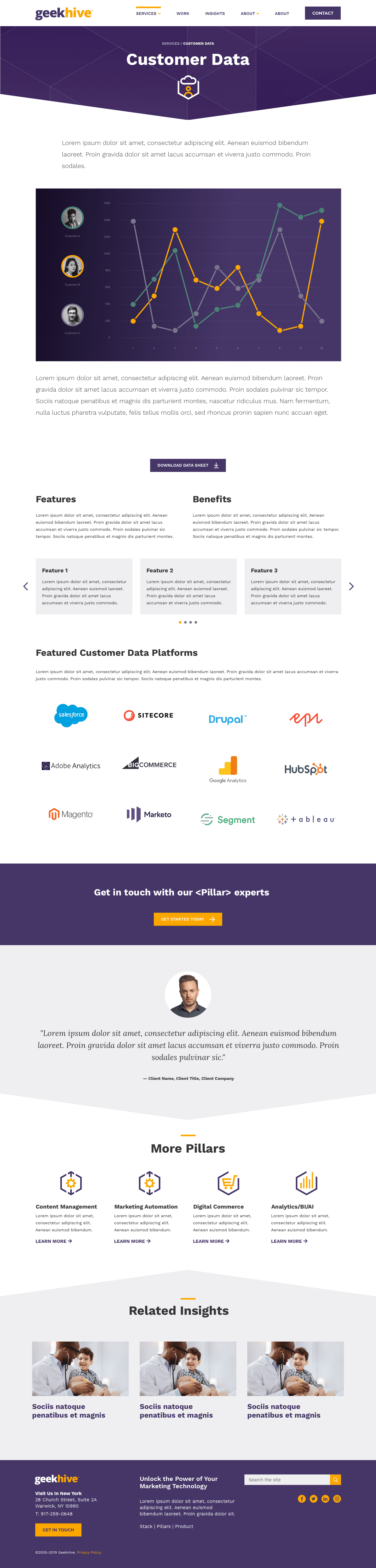 Screenshot of the Geekhive Customer Data website landing page.